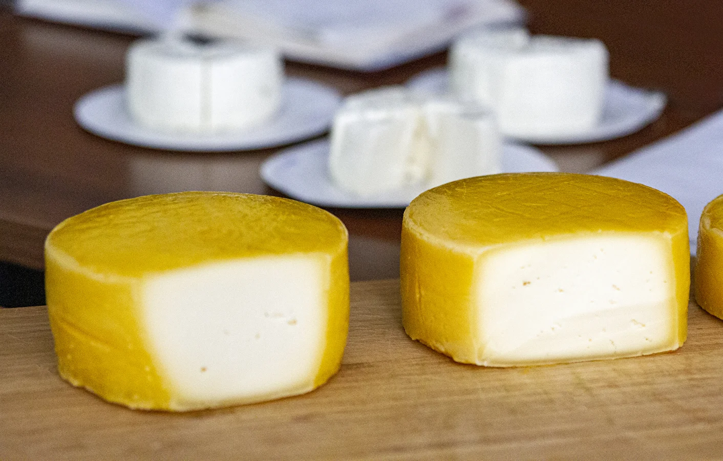 Homemade Gouda-style cheese