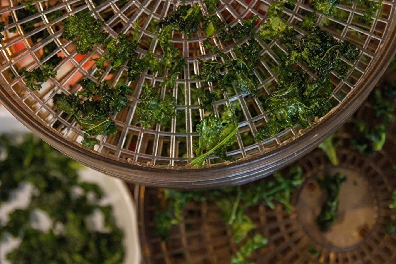 Kale chips