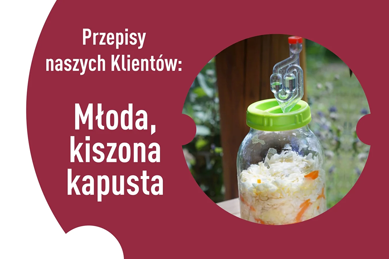 Our Customers’ Recipes: Young sauerkraut
