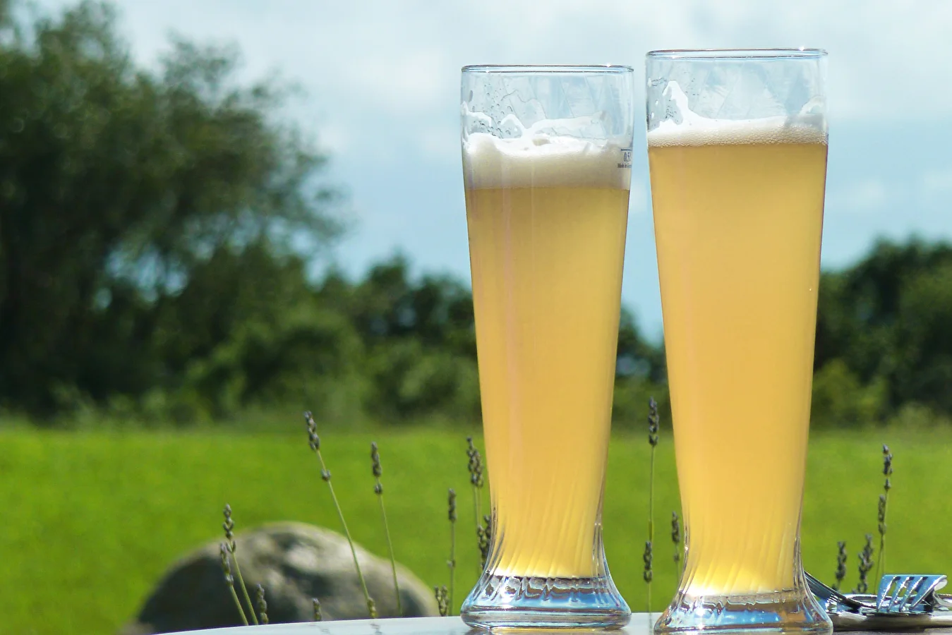 Wheat Beer “White”
