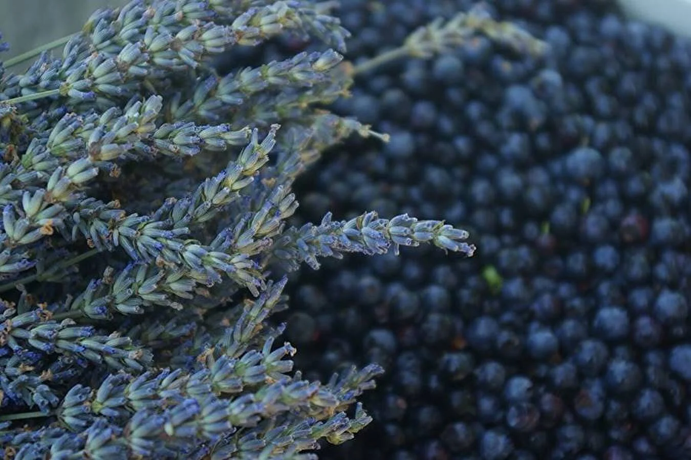 Homemade lavender-blueberry wine