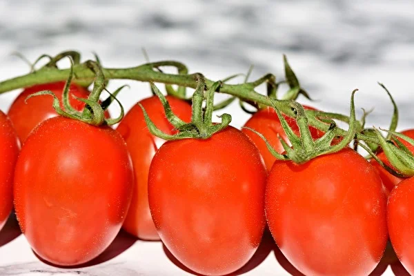 Tomato purée