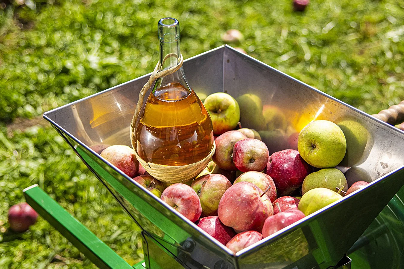 Homemade Cider