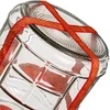 15l glass carboy with nylon straps and plastic cap for wine making, preserving - 4 ['large jar', ' jar large', ' large glass jar', ' canning jar', ' for pickling', ' for cucumbers', ' for cabbage', ' industrial jar']