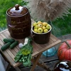 3,2 L Stoneware - barrel crock pot with lid - 4 ['barrel for cabbage', ' pickling barrel', ' pickling barrel', ' silage', ' cabbage', ' cucumber', ' for cucumber', ' stoneware', ' stoneware with lid', ' barrel with lid']