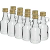 40 ml gallone bottle with screw cap - 10 pcs  - 1 ['Gallone', ' gallone bottle', ' liquor bottle', ' liquor bottle', ' liquor bottle breastplate']