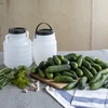 4lBarrel / Drum with handle , white colour - 4 ['barrel for cabbage', ' barrel for cucumbers', ' pickling barrel']