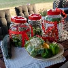 5l gallon / glass carboy with nylon straps and plastic cap for wine making and preserving - 9 ['canning jar', ' jars for preserves', ' regular jar', ' regular jars', ' cheap jars', ' large jar for cucumbers', ' large jar for cabbage']