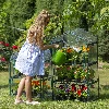 A small balcony greenhouse with three shelves 69 x 49 x 125 cm - 5 ['mini greenhouse with 3 shelves', ' 3-shelf greenhouse', ' balcony greenhouse', ' greenhouse for balcony', ' mini greenhouses', ' greenhouse', ' plastic film tunnel', ' plastic film tent', ' plastic film greenhouse']