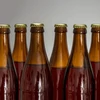 Beer bottle 500 ml - carton of 12 pcs. - 5 ['beer bottles', ' capping bottle', ' cider bottle', ' 0.5 L bottle', ' 500 ml bottle', ' brown glass bottle']