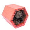 Beneficial Insect House 16x14x14 cm - 2 