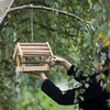 Bird feeder - covered by planks - 3 