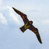 Bird repeller - kite - 2 ['pigeon repeller', ' how to get rid of pigeon', ' hawk-shaped bird repeller', ' large kit', ' bird repelling', ' starling repeller']