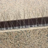 Bird spikes, on metal strip, 10 pcs. - 12 ['bird repellent', ' bird spikes', ' bird spikes', ' metal spike repellent', ' steel pigeon spikes', ' windowsill spikes', ' bird spike strip', ' bird spike strip', ' stainless bird strips', ' bird protection', ' pigeon protection', ' facade protection against birds', ' bird deterrence', ' clean windowsill', ' spikes on a metal strip', ' set of bird spikes', ' effective protection against pigeons', ' birds', ' bird deterrent spikes', ' bird deterrent strips', ' how to effectively deter birds', ' bird-safe spikes', ' bird-safe spike strips']