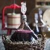 Burgund winemaking yeast w/o growing, 20 ml - 8 ['for red wines', ' for currant wines', ' for dark grapes', ' for aronia wines', ' for elderberry wines', ' without multiplication', ' liquid wine yeast']