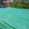 Garden shade net / cloth , 60% shade , 1x10m - 3 