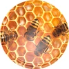 Honeycomb Ø66 twist-off lid - 10 pcs  - 1 ['twist-off lid', ' twist-off lids', ' lid', ' lids', ' lids for honey', ' jar lids', ' Ø66', ' jars for honey', ' Ø 66', '  honey storage', ' honey from home apiary', ' honey jars', ' patterned lids or honey', ' honeycomb']