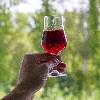 Klarowin 2 fining agent for red wines 7g - 7 ['wine clarification agent', ' klarowin for wine', ' for wine clarification', ' wine-making accessories', ' homemade wine ']