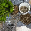 Leca , clay pebbles 10 - 20 mm , 5l - 7 ['leca', ' garden leca', ' leca price', ' plant drainage', ' plant drainage in garden']