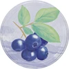 Lid Ø66 “pasteLOVE fruits”, 10 pcs. - 9 ['closure', ' closures', ' lids', ' lid', ' jar lid', ' jar lids', ' lid for a jar', ' non-standard jar lids', '  lids', ' jar lids Ø82', ' jar lids Ø66', ' 4-teeth jar lids', ' twist-off lids', ' TO lids']