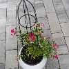 Metal pergola - Pyramid, 95 cm - 6 ['support for plants', ' climbing plants', ' roses', ' tomatoes']