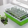 Mini greenhouse / 24 cells seed trays - 3 pcs. - 2 