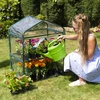 Mini greenhouse with 2 shelves 69x49x95cm - 3 