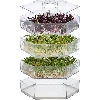 Multi-tier sprouter - a kit with 10 packs of seeds - 6 ['healthy sprouts', ' home sprout growing', ' sprouts vegan product', ' growing sprouts at home', ' sprouters', ' home sprouter', ' sprout growing', ' seeds for sprouting', ' sprouter and seed kit', ' sprouter with seeds', ' sprouter with a set of seeds', ' sprouts', ' sprouting', ' multi-tier sprouter']