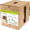 Multi-tier sprouter - a kit with 10 packs of seeds - 20 ['healthy sprouts', ' home sprout growing', ' sprouts vegan product', ' growing sprouts at home', ' sprouters', ' home sprouter', ' sprout growing', ' seeds for sprouting', ' sprouter and seed kit', ' sprouter with seeds', ' sprouter with a set of seeds', ' sprouts', ' sprouting', ' multi-tier sprouter']