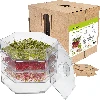 Multi-tier sprouter - a kit with 10 packs of seeds - 21 ['healthy sprouts', ' home sprout growing', ' sprouts vegan product', ' growing sprouts at home', ' sprouters', ' home sprouter', ' sprout growing', ' seeds for sprouting', ' sprouter and seed kit', ' sprouter with seeds', ' sprouter with a set of seeds', ' sprouts', ' sprouting', ' multi-tier sprouter']