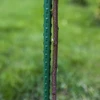 PE-coated steel pole 1,25mx11mm - 3 ['steel support for plants', ' plant pole', ' flower pole', ' potted flower poles', ' plant pole castorama']