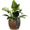 Plant irrigator - black box, 200 ml - 6 ['irrigator for plants', ' irrigator', ' irrigator in the shape of a box', ' original irrigator', ' plant protection', ' plant care', ' irrigator for flowers', ' irrigation placard', ' irrigation globes', ' irrigation sphere', ' designer irrigator', ' how to take care of plants', ' pretty home accessories', ' designer irrigators', ' unique irrigation globes', ' universal irrigator']