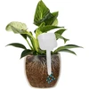Plant irrigator - white box, 200 ml - 6 ['irrigator for plants', ' irrigator', ' irrigator in the shape of a box', ' original irrigator', ' plant protection', ' plant care', ' irrigator for flowers', ' irrigation placard', ' irrigation globes', ' irrigation sphere', ' designer irrigator', ' how to take care of plants', ' pretty home accessories', ' designer irrigators', ' unique irrigation globes', ' universal irrigator', '']