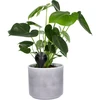 Plant watering globe, matt black, with a ceramic spike (included in the packaging) 400 ml - 9 ['watering globes', ' flower watering dispenser', ' for watering flowers', ' flower watering devices', ' flower watering', ' plant watering', ' watering devices for pots', ' for pot flowers', ' watering system', ' watering globe', ' water dispenser for flowerpots', ' globes for plants', ' dispenser for plants', ' plant watering', ' black watering globes', ' watering globes wit ceramic spike', ' ceramic spike', ' colour watering globes', ' watering globes with clay spike', ' top-filled watering globes', ' top-filled dispensers', ' loft design']