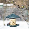 Plastic bird feeder - 17,8 x17 cm, green - 7 ['Bird feeder', ' plastic bird feeder', ' squirrel feeder', ' winter bird feeding']