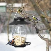 Plastic bird feeder - 21x21x27 cm, black - 8 ['bird feeder', ' feeding birds in winter', ' feeding birds']