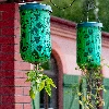 Pot for growing hanging crops (e.g. tomatoes) - 5 ['upside down cultivation', ' hanging pot', ' inverted pot', ' creative pot', ' tomato cultivation']