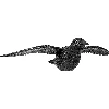 Raven-in-flight, bird repeller - 2 ['bird deterrence', ' how to repel birds', ' balcony bird', ' raven for deterrence', ' artificial raven', ' backyard repeller', ' backyard deterrent', ' raven for repelling', ' repelling raven']