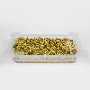 Seed sprouter tray - 11 ['sprouting kit', ' sprouter', ' seed germinator', ' sprouting glass', ' bean sprouter kit', ' broccoli sprouting', ' sprout jar', ' sprouting jar', ' bean sprouter', ' sprouting trays', ' beansprouts']