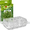 Seed sprouter tray - 5 ['sprouting kit', ' sprouter', ' seed germinator', ' sprouting glass', ' bean sprouter kit', ' broccoli sprouting', ' sprout jar', ' sprouting jar', ' bean sprouter', ' sprouting trays', ' beansprouts']