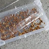 Seed sprouter tray + radish seeds - 7 ['growing sprouts', ' tray sprouter', ' sprouting vessel', ' browin sprouter', ' growing sprouts', ' seed sprouter', ' radish sprouts', ' broccoli sprouts', ' sprouter']