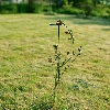 Single stem plant support stake, 110cm - 7 