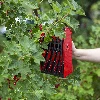 Small fruit picker - 7 ['berry picker', ' fruit comb', ' picking machine', ' fruit picking', ' berry picking', ' berry season']