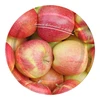 Twist off lid Ø82/6 , apples and pears graphic - 10 pcs. - 3 