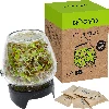 Twist-off sprouter for jars + 5 packs of seeds - 5 ['sprouter', ' glass sprouter', ' sprout cultivation', ' jar sprouter', ' sprouting device', ' sprouter', ' radish sprouts', ' broccoli rabe', ' mung bean sprouts']