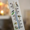 Universal thermometer with a pattern - birds (-30°C do +50°C) 20cm - 4 ['universal thermometer', ' plastic thermometer', ' thermometer with rags-to-riches scale', ' thermometer with dual scale', ' thermometer for rooms with high humidity', ' indoor and outdoor thermometer', ' thermometer with bright print']