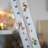 Universal thermometer with a pattern - birds (-40°C to +50°C) 40cm - 4 ['universal thermometer', ' plastic thermometer', ' thermometer with clear scale', ' thermometer with dual scale', ' thermometer for rooms with high humidity', ' indoor and outdoor thermometer', ' thermometer with colourful print']