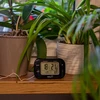 Weather station – electronic, probe, black - 9 ['weather station', ' thermometer', ' hygrometer', ' clock', ' outdoor temperature', ' indoor temperature', ' weather station']