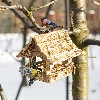 Wooden bird feeder, burnt wood, highlander style - 11 ['birdhouse', ' bird house', ' bird feeding', ' wooden bird feeder', ' burnt wood feeder']