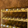 Wooden rack for wine - 77 bottles - 6 ['wine rack', ' wine storage', ' wine accessories', ' wine aging', ' liquor rack', ' liquor stand', ' whisky rack', ' wooden rack']